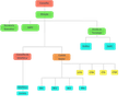 organograma